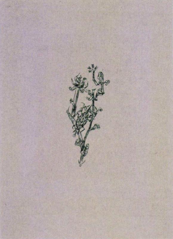 Paul Klee Giant aphid
